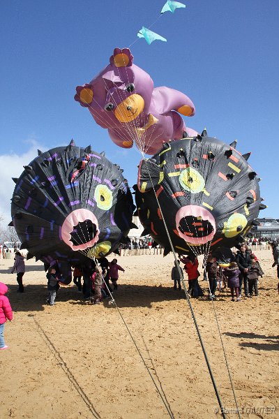 Festival Cerfs Volants Chatelaillon 2010_004.JPG